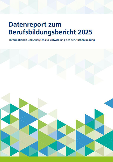 Bild für Datenreport zum Berufsbildungsbericht 2025