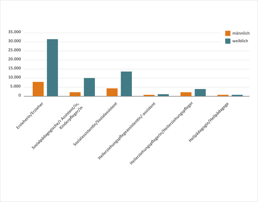 Grafik zur schulischen Berufsausbildung im Gesundheits- , Bildungs- und Sozialwesen