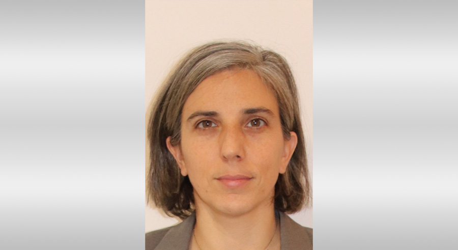 „Wir sollten darüber nachdenken, die Zahl der Vorbilder zu erhöhen“