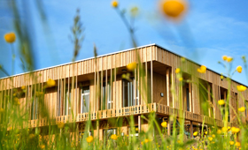 modernes ökologisches Holzhaus mit grüner Wiese im Vordergrund
